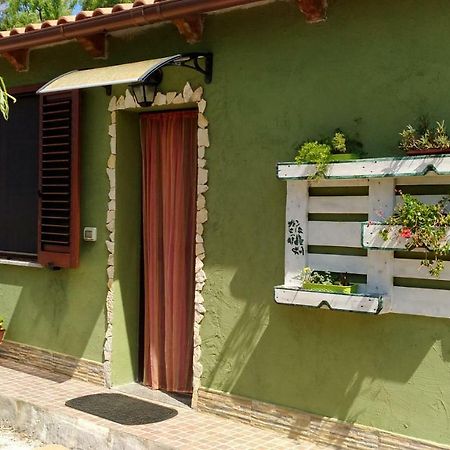 Appartamento Il Salice Casa Minnina Zewnętrze zdjęcie
