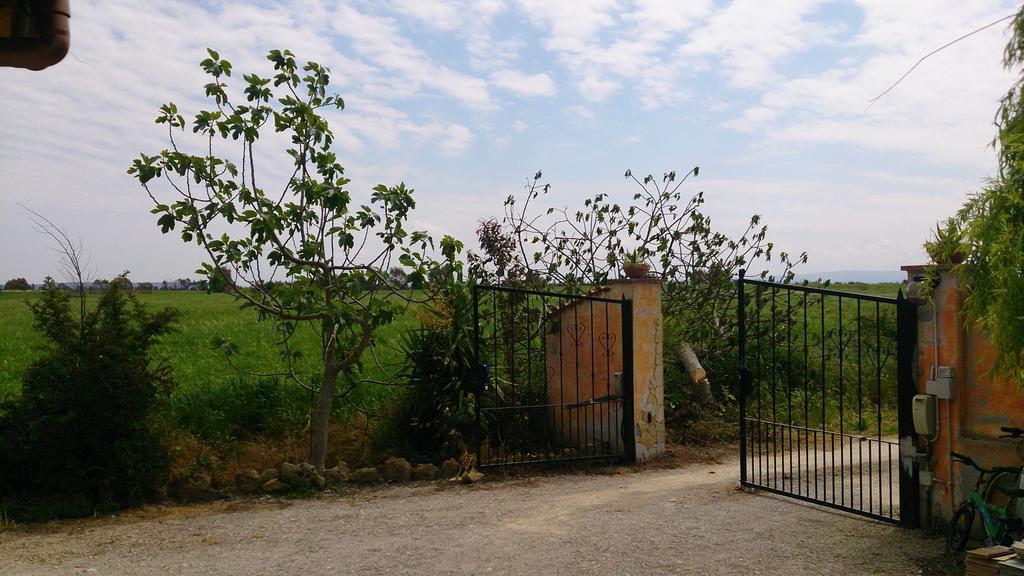 Appartamento Il Salice Casa Minnina Zewnętrze zdjęcie